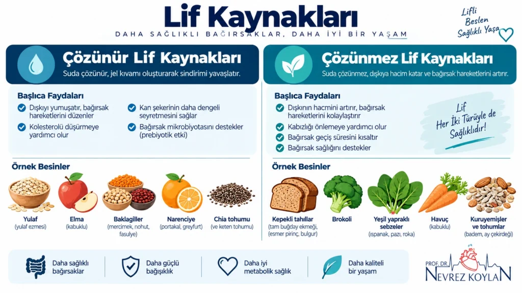 Çözünür ve çözünmez lif kaynağı gıdaları karşılaştıran infografik