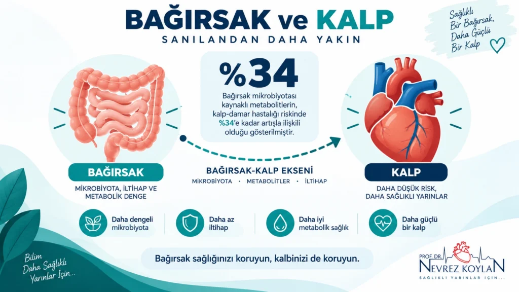Kabızlık ve kalp sağlığı arasındaki bağlantıyı gösteren infografik