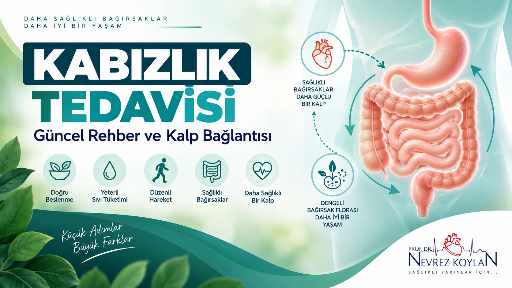 Kabızlık tedavisi kapak görseli — Prof. Dr. Nevrez Koylan