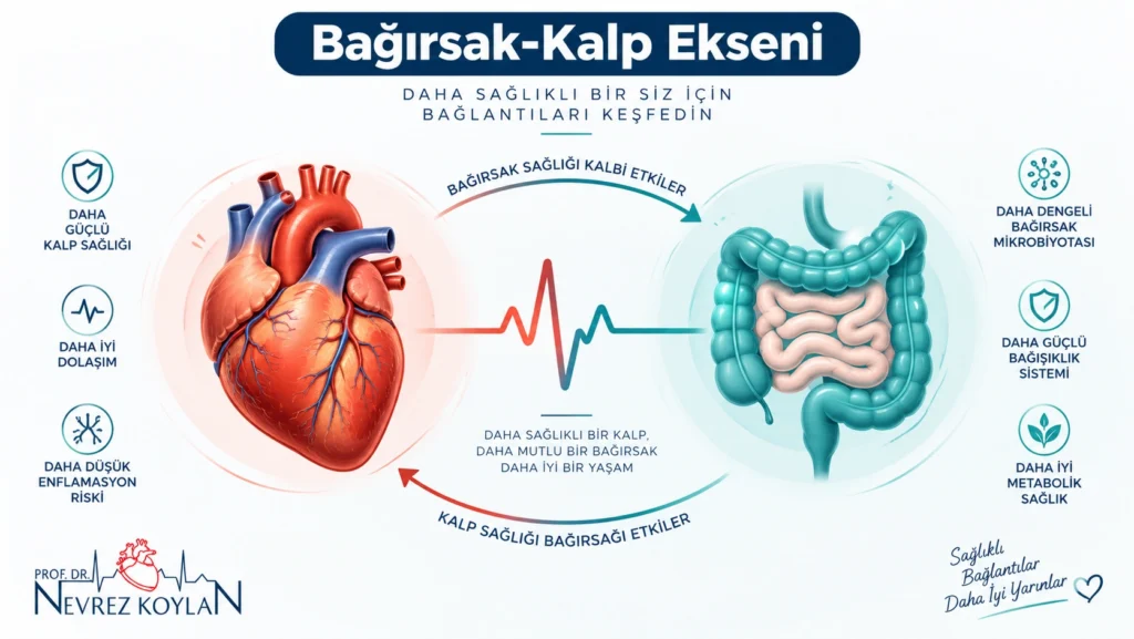 Kalp ve bağırsak sağlığı arasındaki ilişkiyi gösteren kardiyoloji görseli