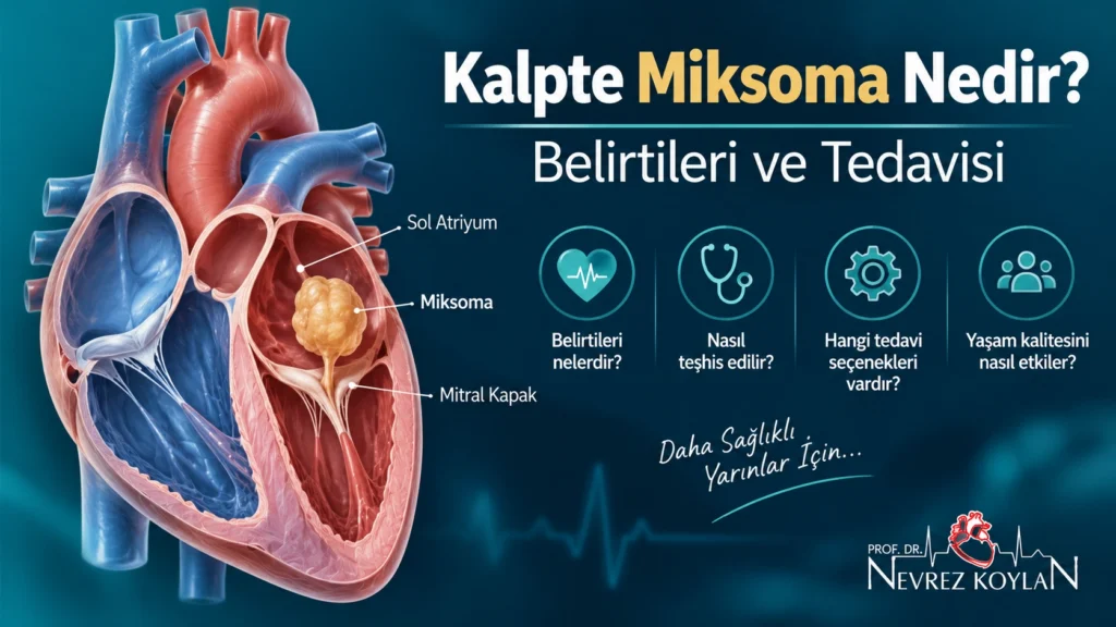 Kalpte miksoma tümörünü gösteren kalp illüstrasyonu - Prof. Dr. Nevrez Koylan
