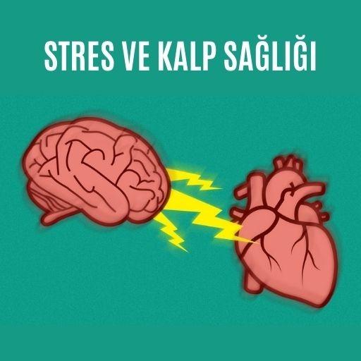 Stres ve kalp sağlığı