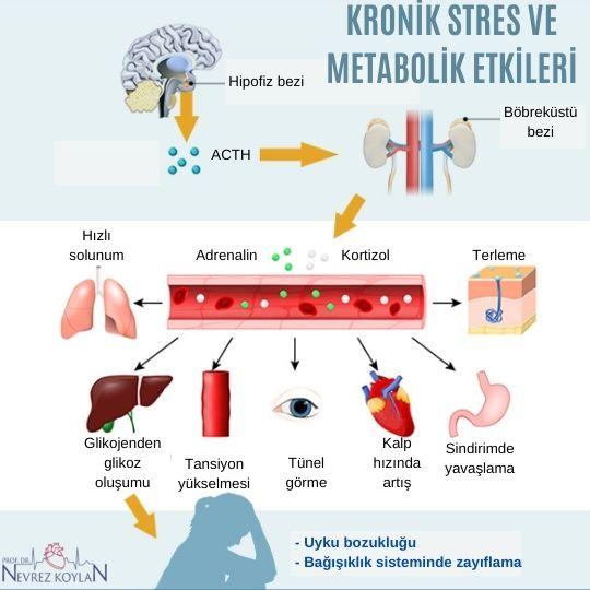 Kronik stres ve metabolik etkileri