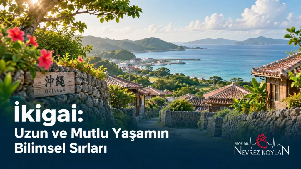 İkigai felsefesi ve uzun yaşam - Okinawa kıyı köyü manzarası, kapak görseli