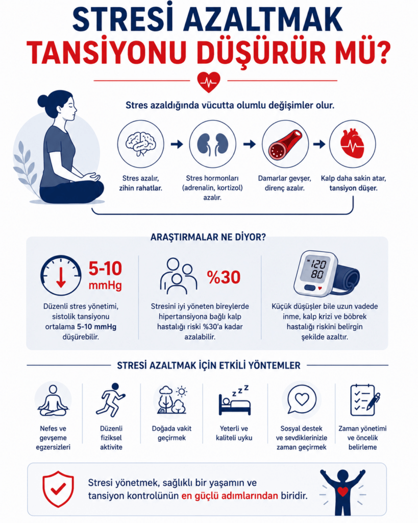 Stresi azaltmanın tansiyon üzerindeki olumlu etkilerini anlatan minimalist tıbbi infografik. Beyaz arka plan üzerinde lacivert ve kırmızı tonlarda tasarlanan görselde; meditasyon yapan bir figür, kalp ve tansiyon ikonu ile birlikte stres yönetiminin kan basıncı kontrolüne katkısı vurgulanıyor. Düzenli egzersiz, kaliteli uyku, nefes egzersizleri, sağlıklı beslenme ve dijital molalar gibi yaşam tarzı alışkanlıkları sade ikonlarla gösteriliyor. Görselde stres hormonlarının azalmasıyla kalp hızının ve damar üzerindeki baskının hafifleyebileceği anlatılırken, düzenli stres yönetiminin hipertansiyon tedavisinin önemli bir parçası olduğu mesajı öne çıkarılıyor.
