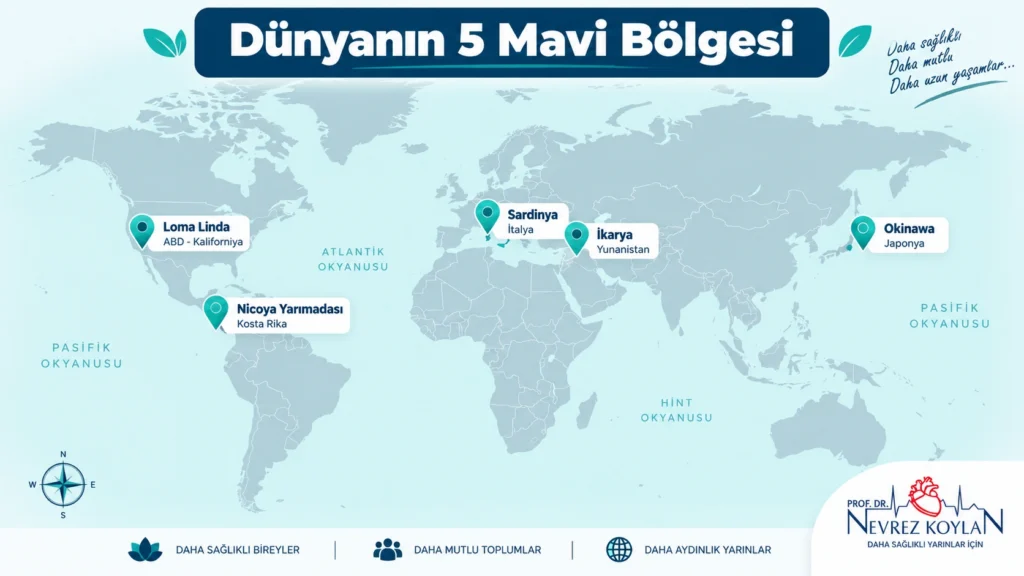 Dünya haritası üzerinde beş Mavi Bölge'nin (Sardinya, İkarya, Nicoya, Loma Linda, Okinawa) işaretlendiği infografik