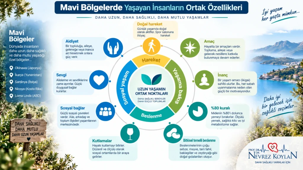 Mavi Bölgelerde yaşayan insanların ortak özelliklerini gösteren infografik; doğal hareket, amaç duygusu, inanç, ölçülü beslenme, bitkisel ağırlıklı beslenme, sosyal bağlar, sevgi ve aidiyet vurgulanıyor.