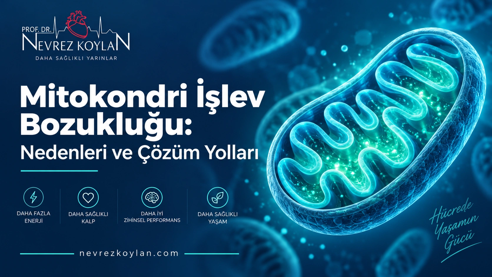 Mitokondri işlev bozukluğu ve hücresel enerji üretimini gösteren kapak görseli