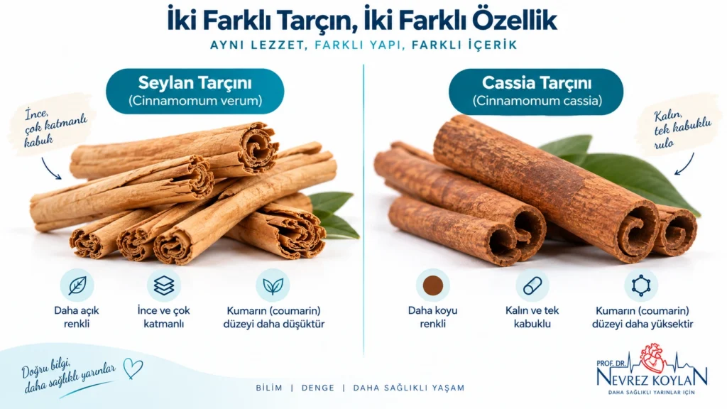 Seylan tarçını ve Çin (Cassia) tarçını karşılaştırması