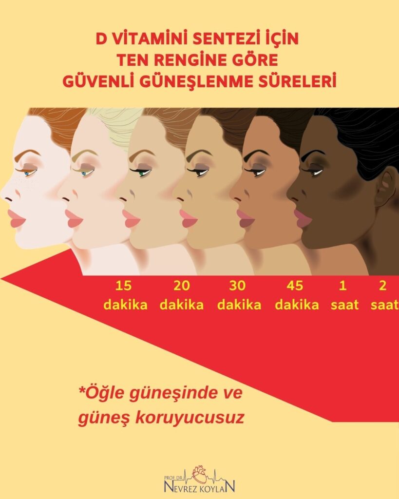D VİTAMİNİ SENTEZİ İÇİN 
TEN RENGİNE GÖRE 
GÜVENLİ GÜNEŞLENME SÜRELERİ