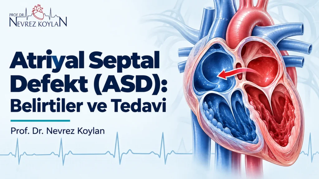 Atriyal septal defekt kapak görseli: kulakçıklar arasındaki açıklıktan soldan sağa kan geçişini gösteren kalp kesiti ve Prof. Dr. Nevrez Koylan logosu