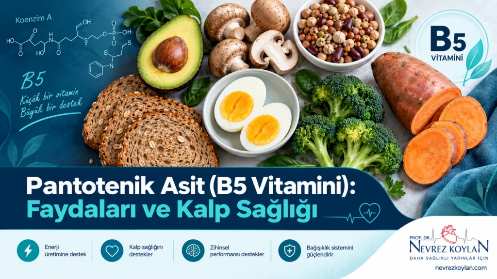 Pantotenik asit (B5 vitamini) kaynağı besinlerin yer aldığı, kalp sağlığı temalı kapak görseli