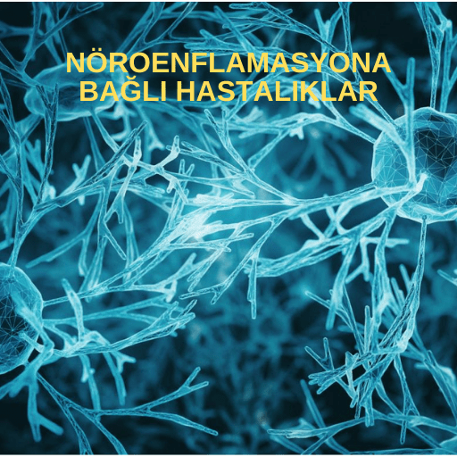 Nöroenflamasyona bağlı hastalıklar