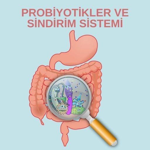 Probiyotikler ve sindirim sistemi