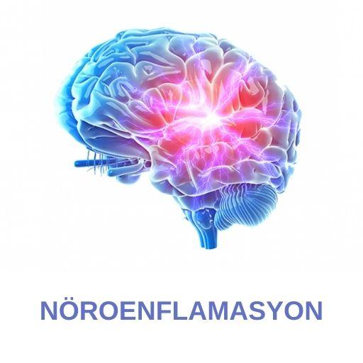 Nöroenflamasyon