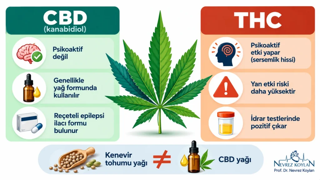 CBD yağı ile THC arasındaki fark: CBD psikoaktif değil, THC bağımlılık ve sarhoşluk yapar