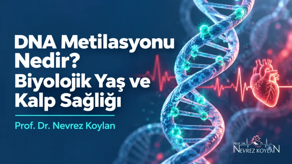DNA metilasyonu nedir: metil işaretleri taşıyan DNA sarmalı ve kalp ritmi çizgisiyle biyolojik yaş ve kalp sağlığı kapak görseli