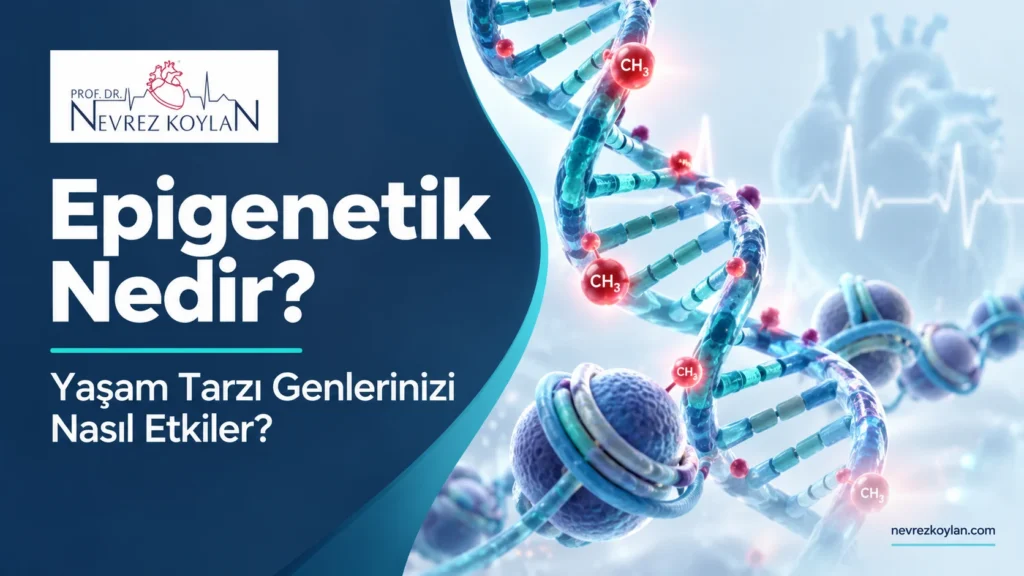 Epigenetik nedir kapak görseli: DNA sarmalı üzerinde metil etiketleri ve Prof. Dr. Nevrez Koylan logosuyla "Epigenetik Nedir? Yaşam Tarzı Genlerinizi Nasıl Etkiler?" başlığı