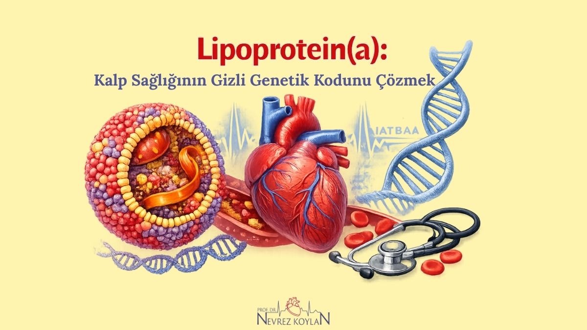 Lipoprotein (a) hakkındaki blog yazısı kapağı