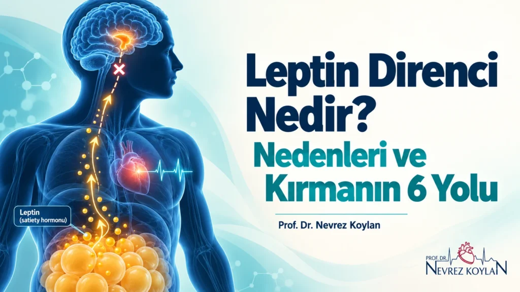 Leptin direnci nedir: yağ dokusundan çıkan tokluk sinyalinin beyne ulaşamadığını gösteren tıbbi kapak illüstrasyonu