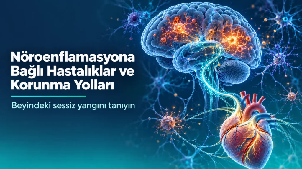 Nöroenflamasyona bağlı hastalıklar kapak görseli: beyin ve kalbi birbirine bağlayan sinir ağında iltihap odakları, Prof. Dr. Nevrez Koylan logosu