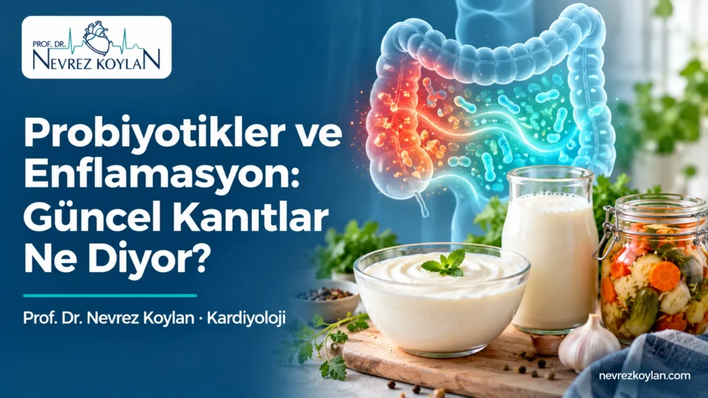 Probiyotikler ve enflamasyon: kefir, yoğurt ve turşu ile bağırsaktaki iltihabın azalmasını simgeleyen kapak görseli