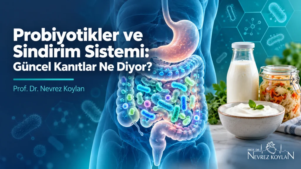 Probiyotikler ve sindirim sistemi: bağırsakta yaşayan yararlı bakterileri ve yoğurt, kefir gibi fermente gıdaları gösteren kapak görseli