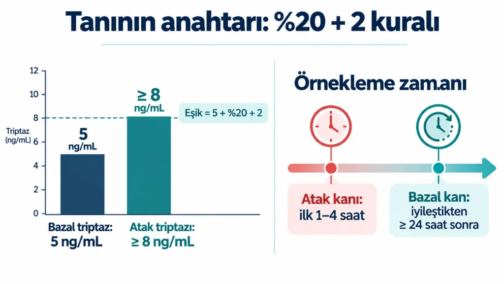 MCAS tanısında yüzde 20 artı 2 triptaz kuralını gösteren örnek grafik