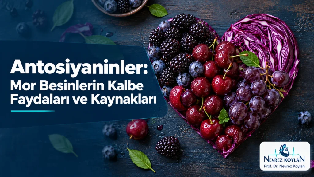 Antosiyaninler açısından zengin karadut, böğürtlen, vişne ve kırmızı lahananın kalp şeklinde dizildiği kapak görseli, Prof. Dr. Nevrez Koylan logosu