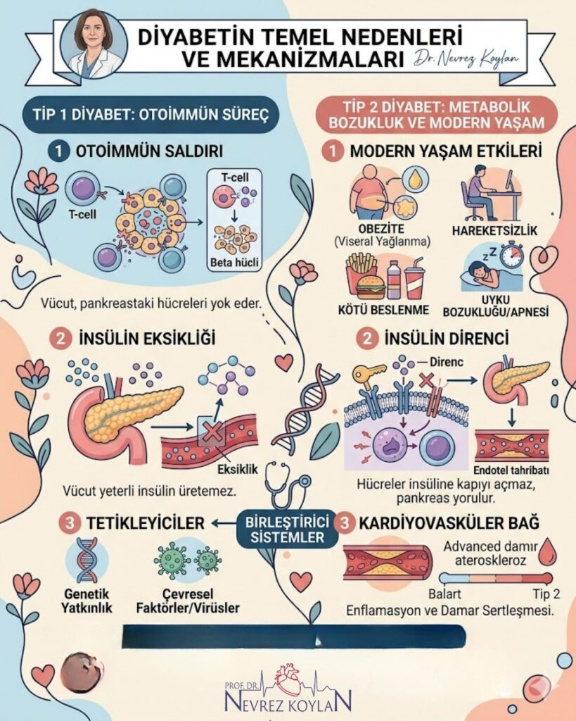 Dİyabetin temel nedenler ve mekanizmaları konulu infografik görseli