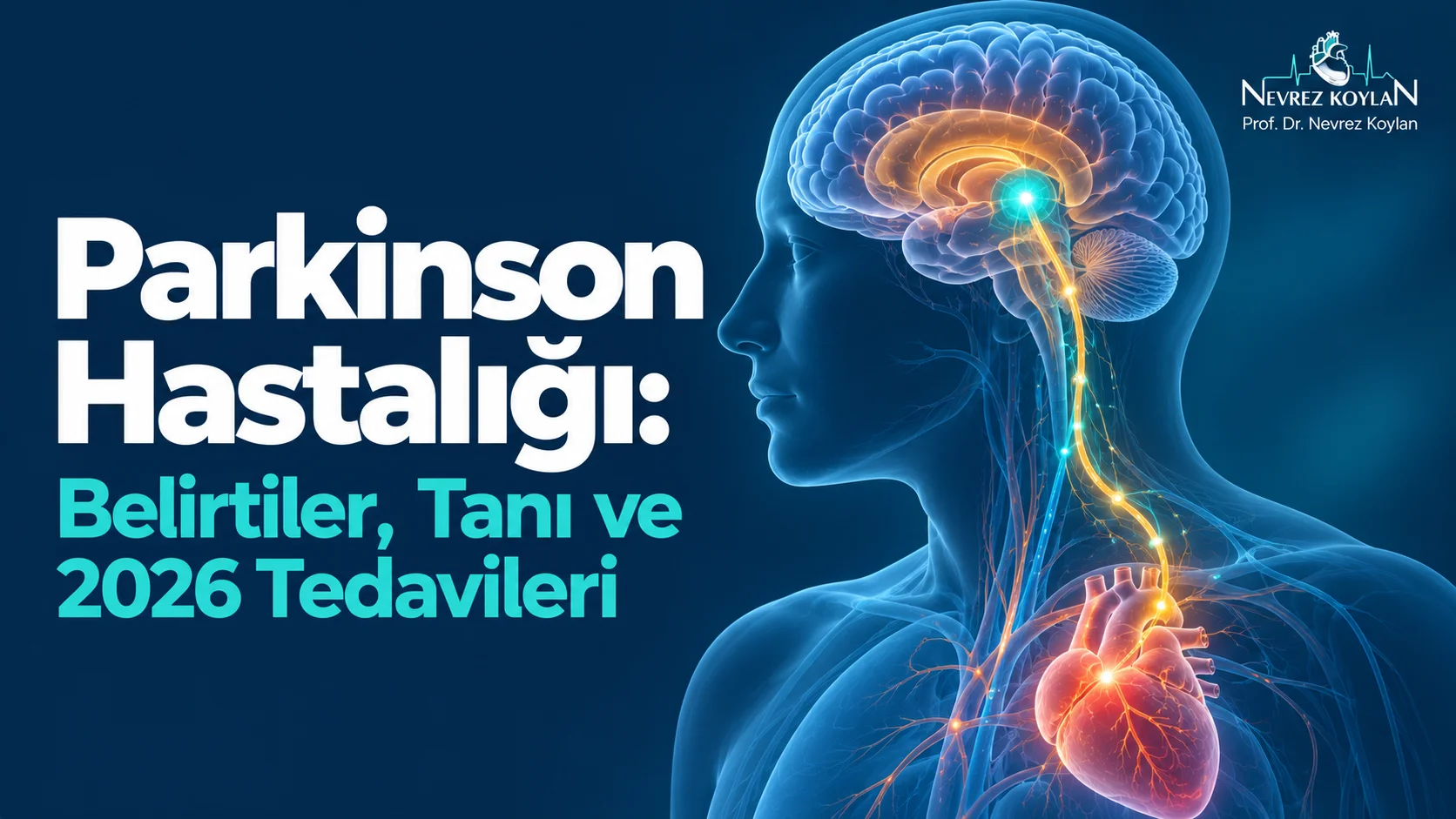 Parkinson hastalığı: belirtiler, tanı ve 2026 tedavileri — beyin ve kalp illüstrasyonu ile nevrezkoylan.com kapak görseli