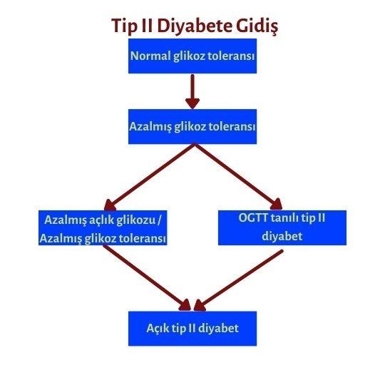 Tip 2 diyabete gidiş