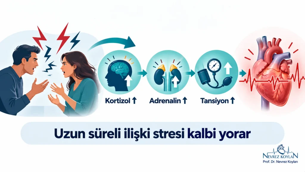 Toksik ilişkiler ve kalp sağlığı: ilişki stresinin kortizol, adrenalin ve tansiyonu artırarak kalbe etkisini gösteren şema