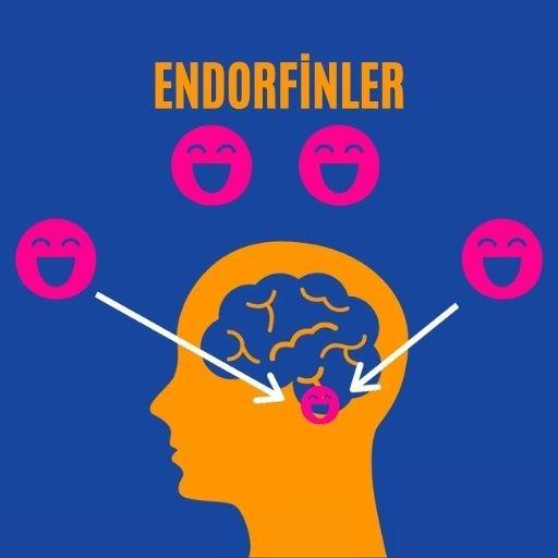 Endorfinler