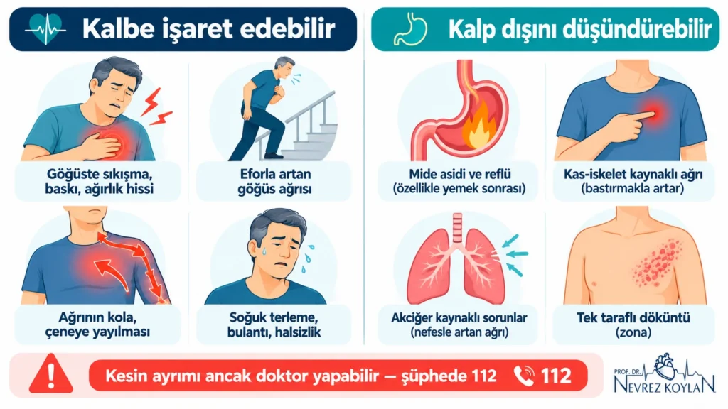 Kalp kaynaklı ve kalp dışı göğüs ağrısı farklarını ağrının niteliği, tetikleyen ve süreye göre karşılaştıran infografik