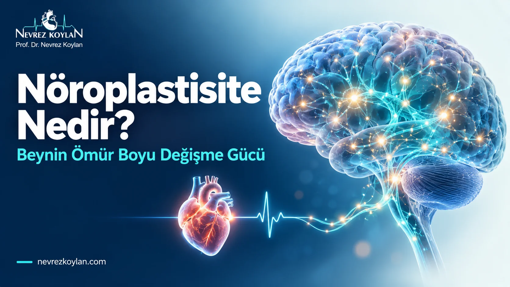 Nöroplastisite nedir başlıklı kapak görseli: turkuaz nöron bağlantılarıyla parlayan insan beyni, kalbe uzanan EKG çizgisi ve Prof. Dr. Nevrez Koylan logosu
