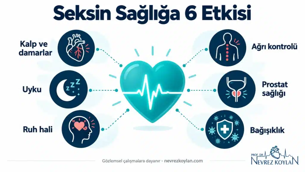 Seksin kalp, uyku, ruh hali, ağrı, prostat ve bağışıklık üzerindeki etkilerini özetleyen infografik, Prof. Dr. Nevrez Koylan logosu