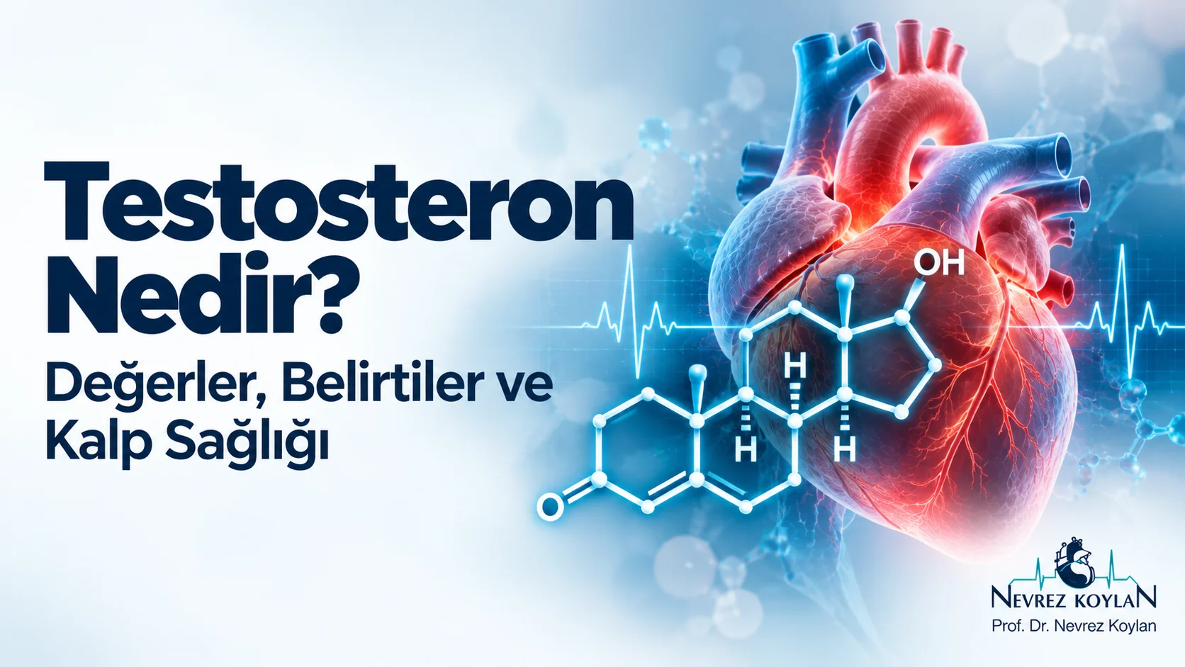 Testosteron nedir başlıklı kapak görseli: kalp silueti ve testosteron molekülü, Prof. Dr. Nevrez Koylan logosu