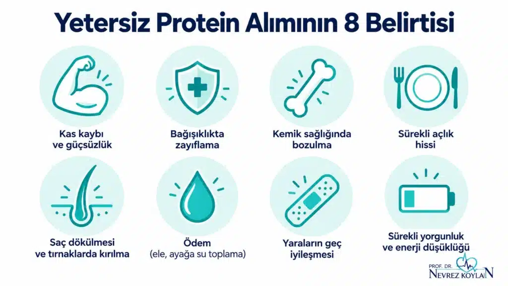 Yetersiz protein alımının 8 belirtisi: kas kaybı, sık enfeksiyon, kemik zayıflığı, sürekli acıkma, saç dökülmesi, ödem, geç iyileşen yaralar ve yorgunluk