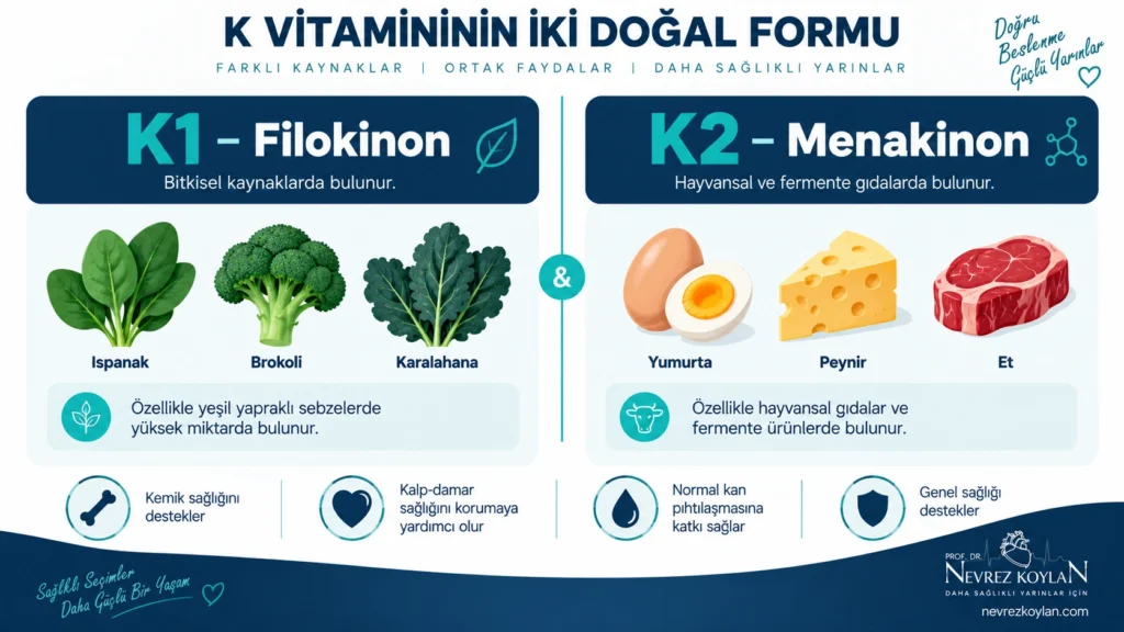 K1 vitamini ve K2 vitamini kaynaklarını karşılaştıran infografik