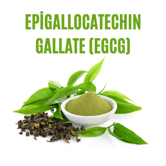 Epigallocatechin gallate (EGCG)