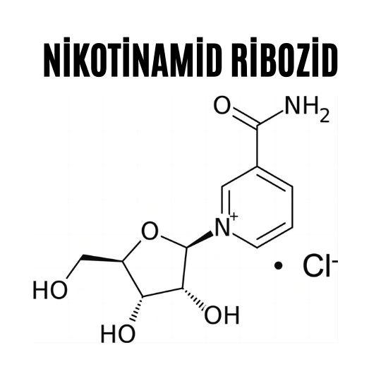 Nikotinamid ribozid