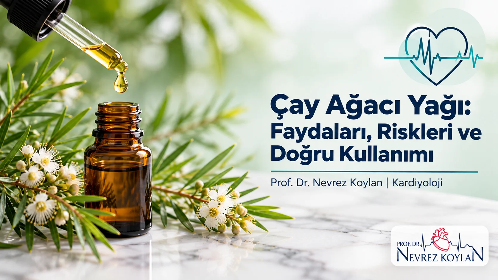 Çay ağacı yağı faydaları ve riskleri: damlalıklı amber şişe, taze Melaleuca yaprakları ve EKG çizgili kalp ikonu ile Prof. Dr. Nevrez Koylan logosu