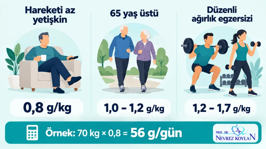 Yaşa ve aktiviteye göre günlük protein ihtiyacı: kilogram başına 0,8 ile 1,7 gram arası