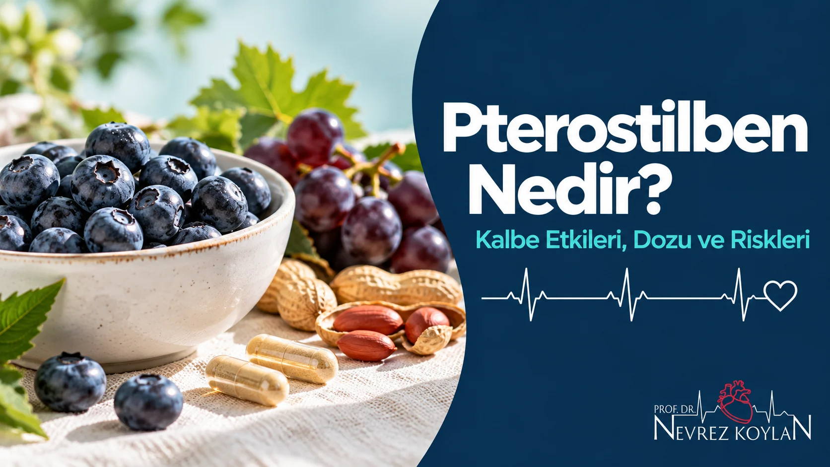 Pterostilben nedir başlıklı kapak görseli: yaban mersini kâsesi, koyu üzüm salkımı, takviye kapsülleri ve EKG çizgili kalp ile Prof. Dr. Nevrez Koylan logosu
