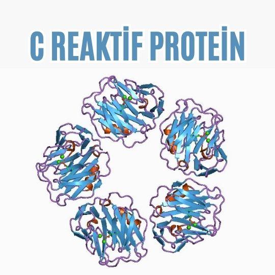 C reaktif protein