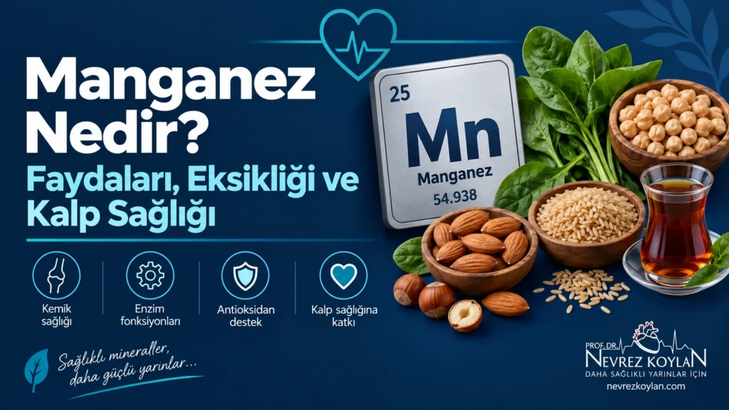 Manganez faydaları, eksikliği ve kalp sağlığı ilişkisini anlatan 2026 güncel blog yazısı kapak görseli