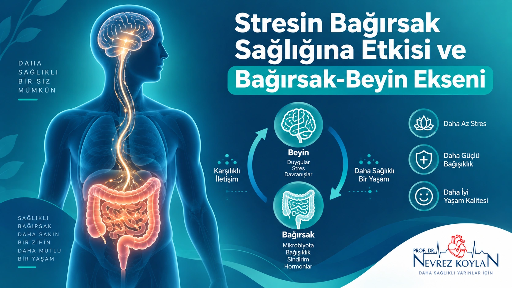 Stresin bağırsak mikrobiyotası çeşitliliğine etkisini gösteren karşılaştırmalı illüstrasyon