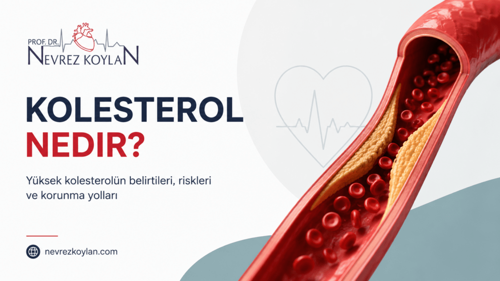 Kolesterol nedir başlıklı, damar içinde plak birikimini gösteren Prof. Dr. Nevrez Koylan blog kapak görseli.