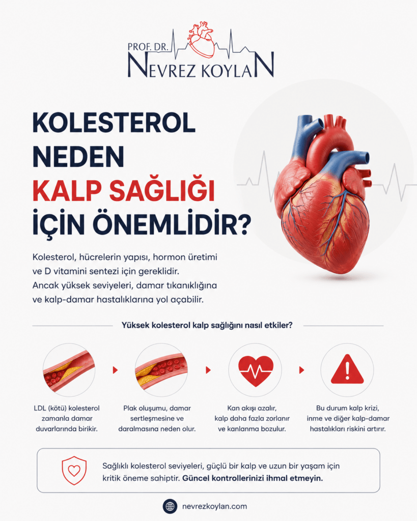 **Kısa alt text:**
"Kolesterol neden kalp sağlığı için önemlidir başlıklı, damar tıkanıklığı ve kalp sağlığı ilişkisini gösteren minimalist tıbbi infografik."